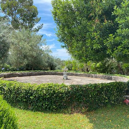 Casa Da Eira - Villas De Campo Ferreira do Zêzere 外观 照片